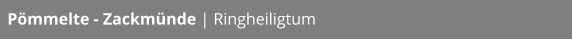 Pömmelte - Zackmünde | Ringheiligtum